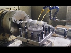 Segmentos de tornillo y barril de extrusora de doble husillo Berstoff