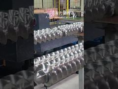 Involucrar el eje de extrusora de tornillo doble de línea interna para la máquina de 65 mm